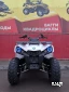Квадроцикл PROMAX RENEGADE 280 (2025)