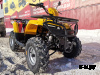 Квадроцикл IRBIS ATV 250 XE (X-MOTORS EDITION)