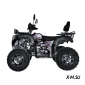 Квадроцикл Regulmoto XMR 200 Lux