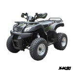 Квадроцикл ATV Beorn 200 