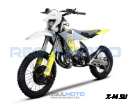Мотоцикл Regulmoto NIBBI TE N300-SR 2T