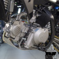 Питбайк PITONMOTO PX7 140EM 19/16