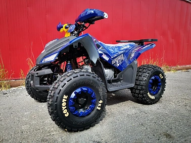 Квадроцикл MOTOLAND (МОТОЛЕНД) 125 COYOTE PRO