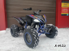 Квадроцикл PROMAX RAPTOR 300 NEW