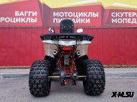 Квадроцикл PROMAX WILD 2.0 190 LUX