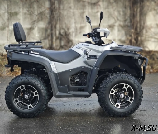 Квадроцикл  BASHAN EXPLORER 320 EFI 4x4