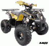 Квадроцикл MOTOLAND (МОТОЛЕНД) 125 FOX