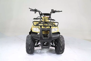 Квадроцикл MOTOLAND (МОТОЛЕНД) 110 RIDER