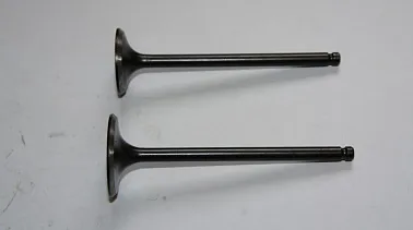 Клапаны ГРМ 162FMJ,164FML,166FML,166FMM,167FMM,170FMM(CGN/NT/CBN/CBB